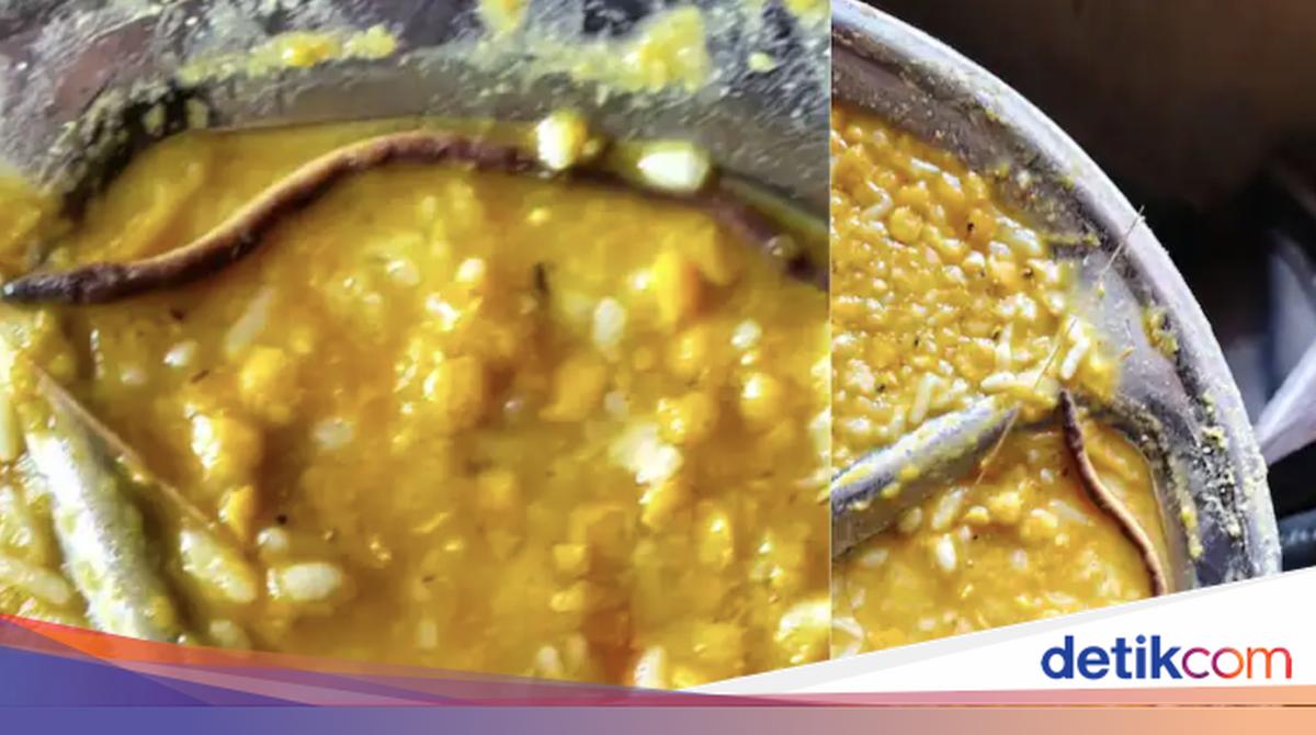 Heboh! Temuan Anak Ular di Makanan Sekolah, 150 Siswa Jatuh Sakit