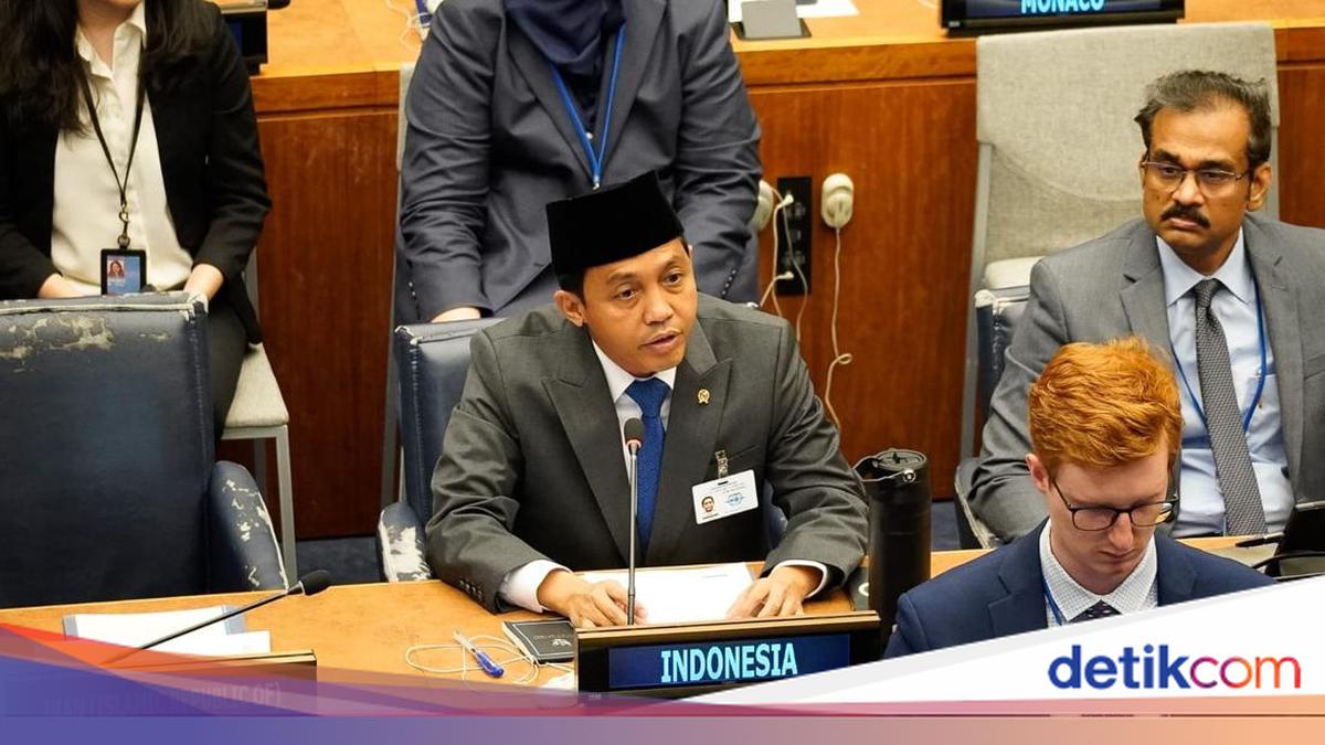 Di Markas PBB, Menhut Sampaikan Komitmen Prabowo Perkuat Tata Kelola Hutan
