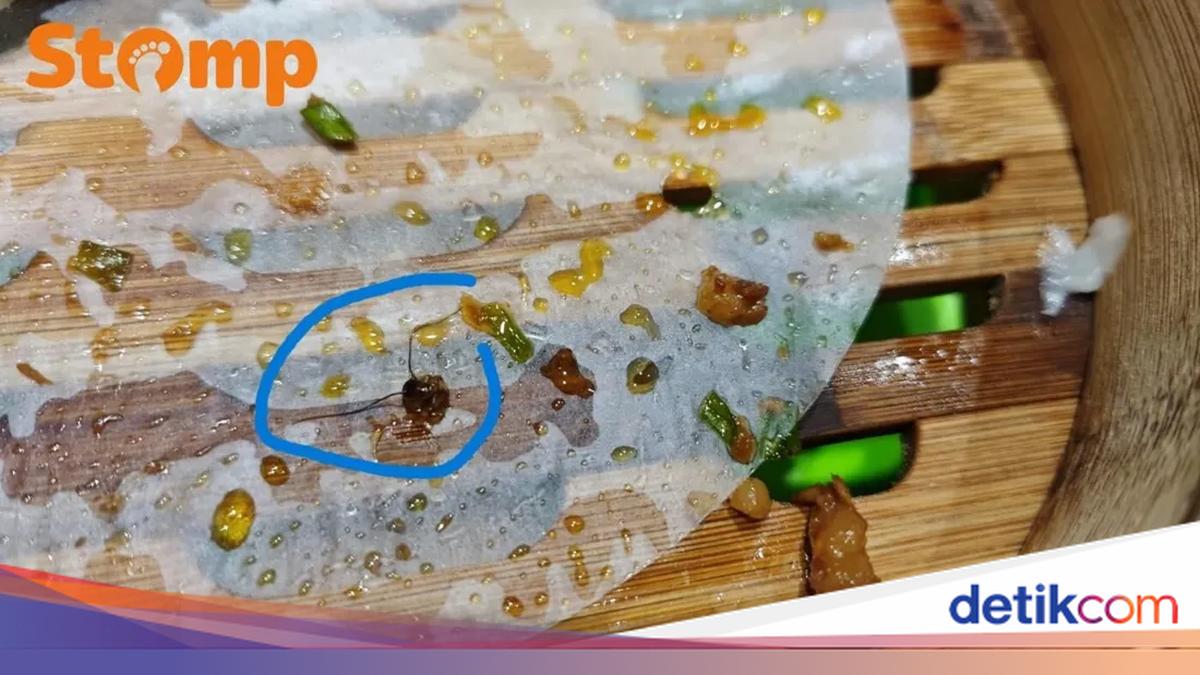 Jijik! Di dalam Bakpao Babi Ini Ada Isian Kepala Kecoak