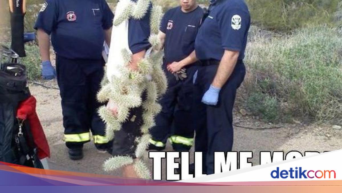 Momen Apes Tingkat Dewa, Kesialannya Bikin yang Lihat Ikut Meringis