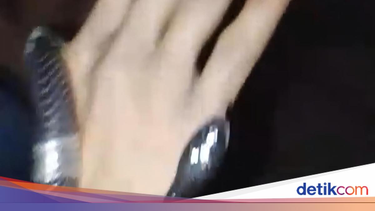 Pria di Bogor Sempat Mainkan Ular Weling Usai Digigit hingga Tewas