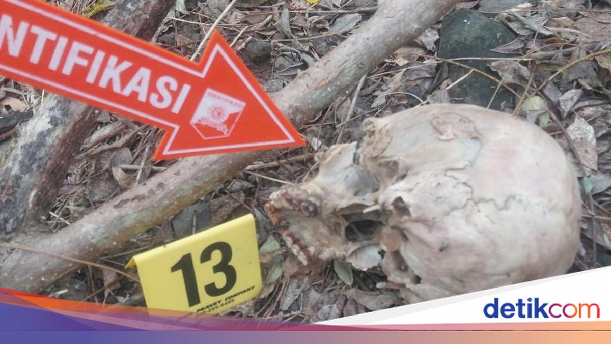 Pria Malaka Ditemukan Tinggal Tengkorak di Hutan Ternyata Dibunuh 3 Anaknya