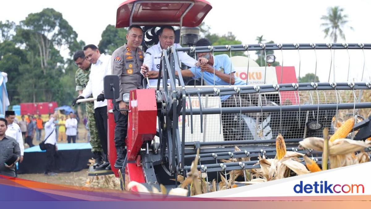 Polda Sumsel Lampaui Target Panen Jagung untuk Ketahanan Pangan