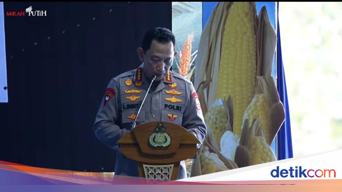 Kapolri Laporkan Capaian Panen Raya Kuartal II, 100 Ton Jagung Akan Diekspor