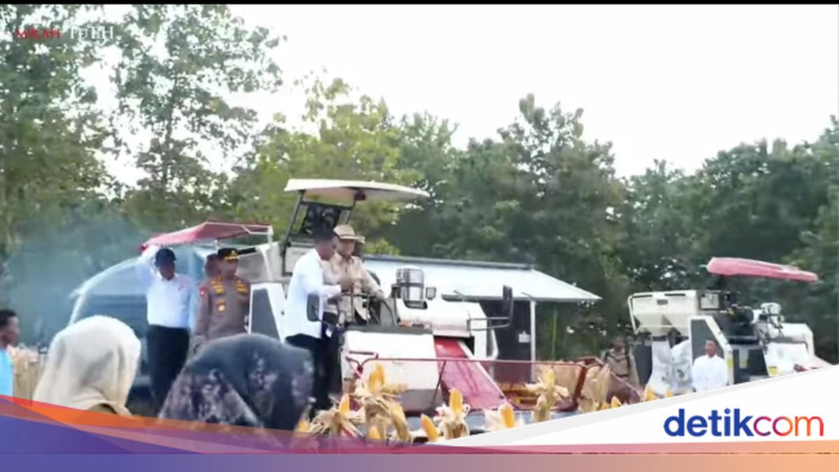 Pakai Topi Koboi, Prabowo Panen Jagung Naik Corn Reaper di Tuban
