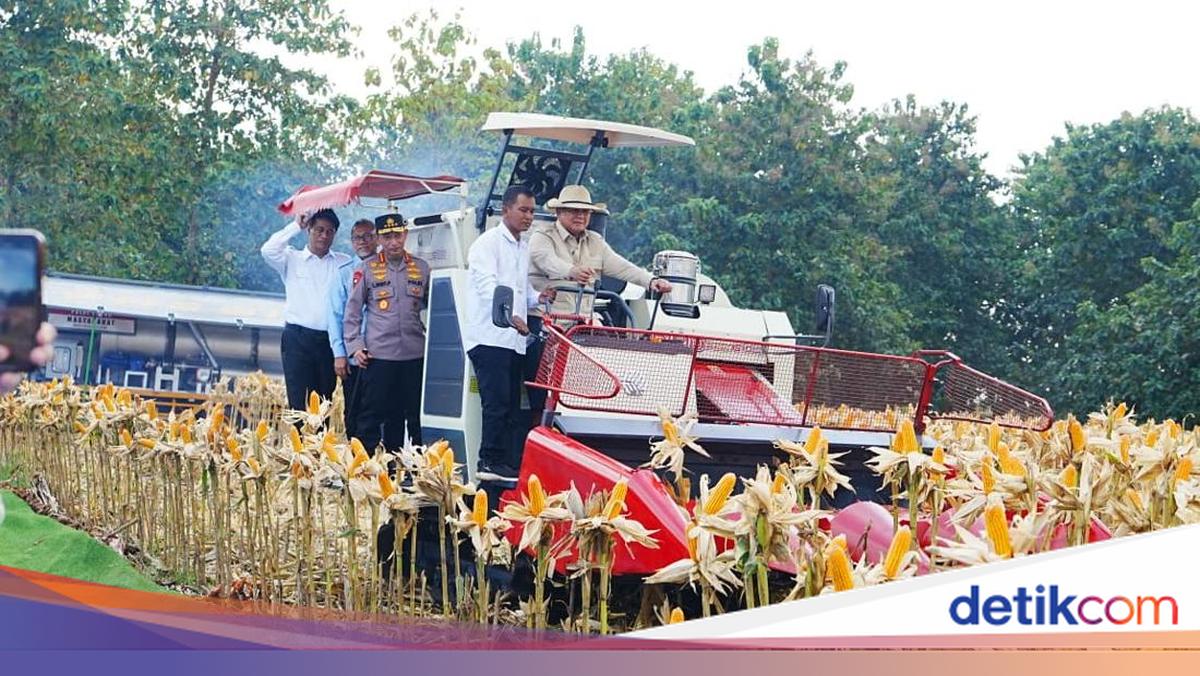 Prabowo Sebut Inovasi Briket Arang Jagung dari Polri Miracle
