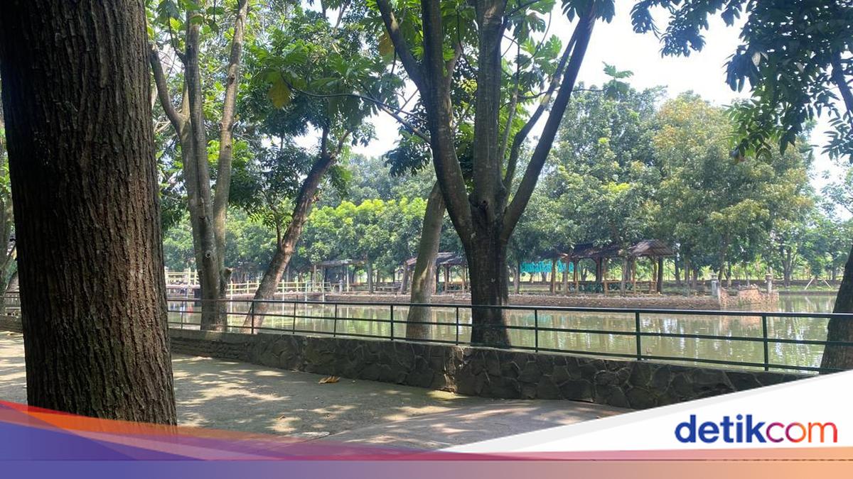 Terungkap Asal-usul Kawanan Rusa Muncul di Permukiman Depok Subuh-subuh