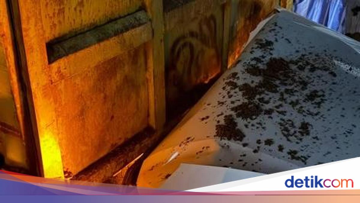 Wagub Sumbar Vasko Ruseimy Alami Kecelakaan, Mobil Ringsek Tabrak Truk