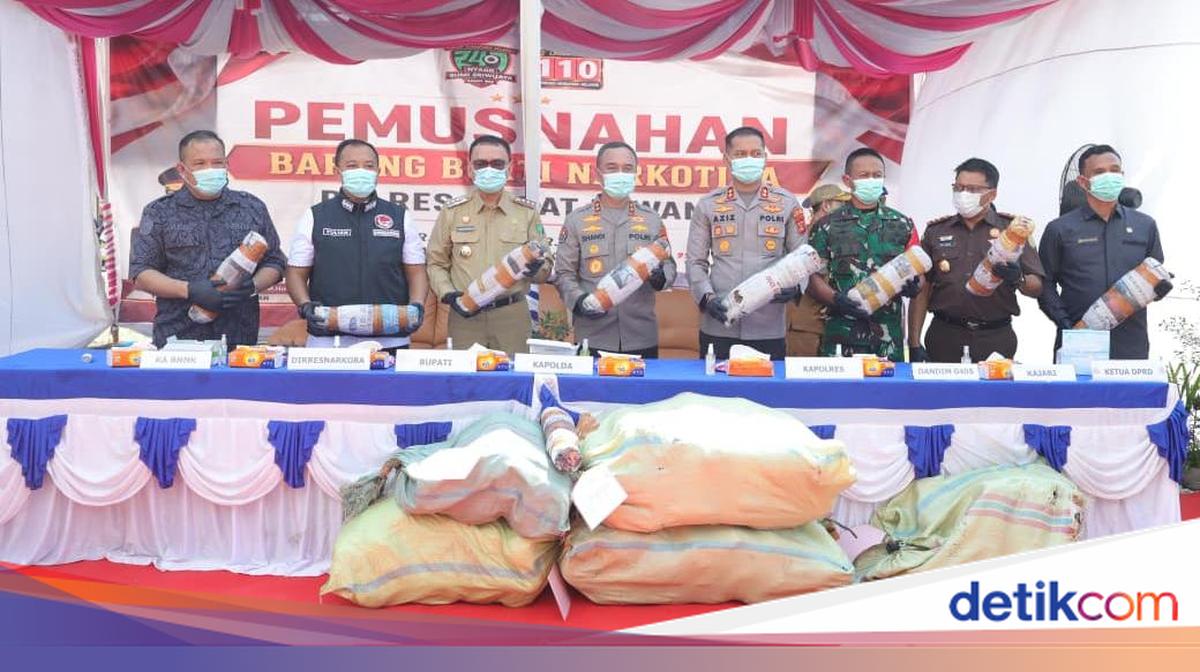 Kapolda Sumsel Pimpin Pemusnahan 200 Kg Ganja, Komitmen Perangi Narkoba