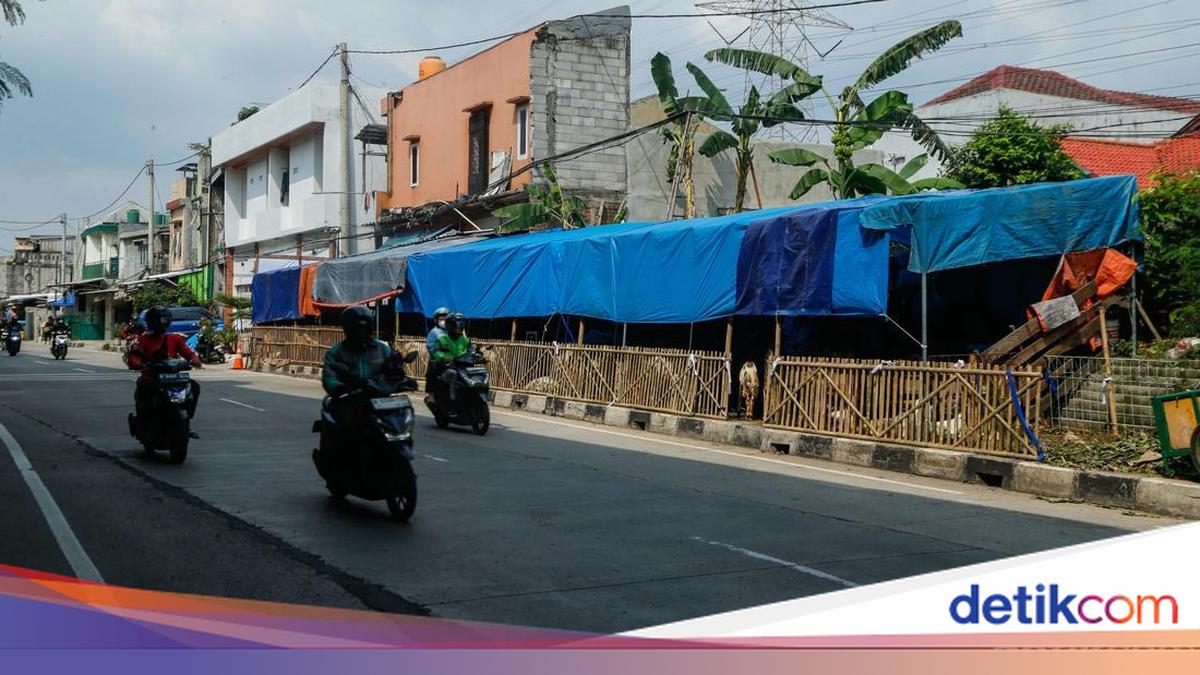 Ramai Trotoar 'Dicaplok' Penjual Hewan Kurban, Satpol PP DKI Akan Tertibkan