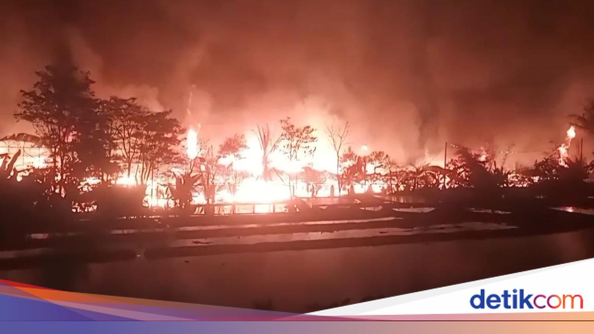 Peternakan di Bogor Terbakar Dini Hari, Ribuan Anak Ayam dan Belasan Domba Mati