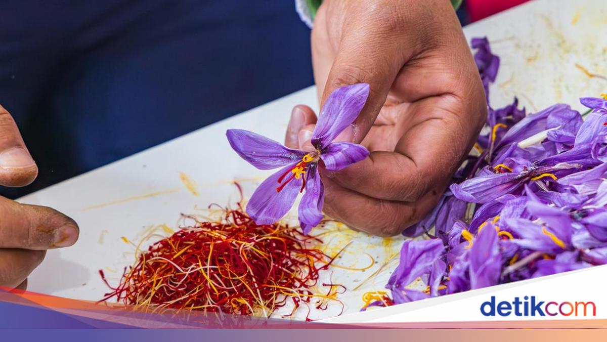 10 Makanan Termahal Dunia di 2026, Ada Kopi dari Indonesia!