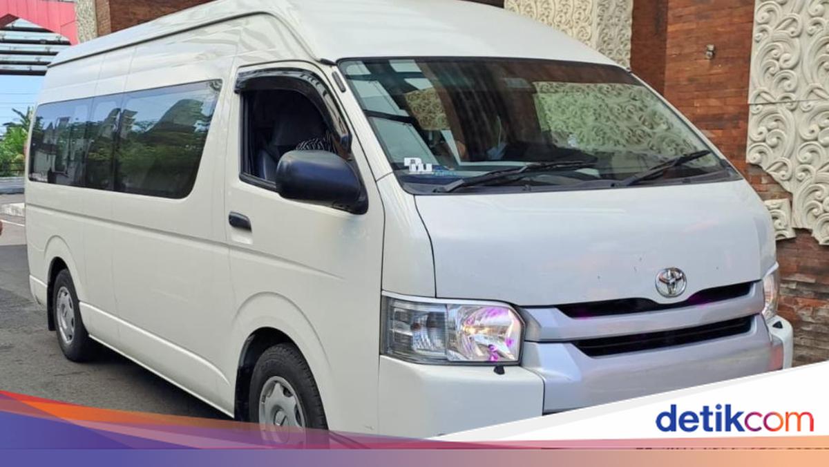 Terungkap Modus Baru Penyelundupan Anjing Ilegal ke Bali