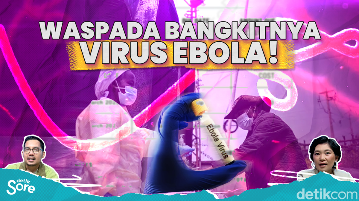 Virus Hanta dan Ebola jadi Perhatian Dunia