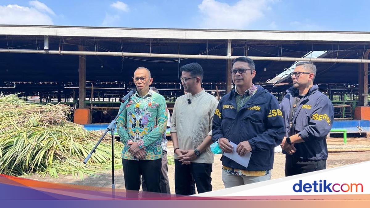 DKI Waspadai Wabah Antraks Jelang Idul Adha, Hewan Kurban Diperiksa Ketat