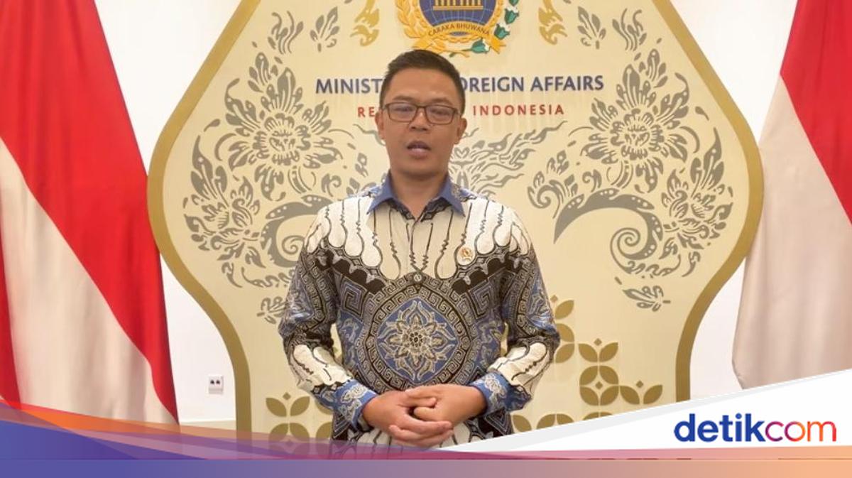Menlu Bersyukur 9 WNI Ditangkap Israel Sudah Bebas, Apresiasi Peran Turki