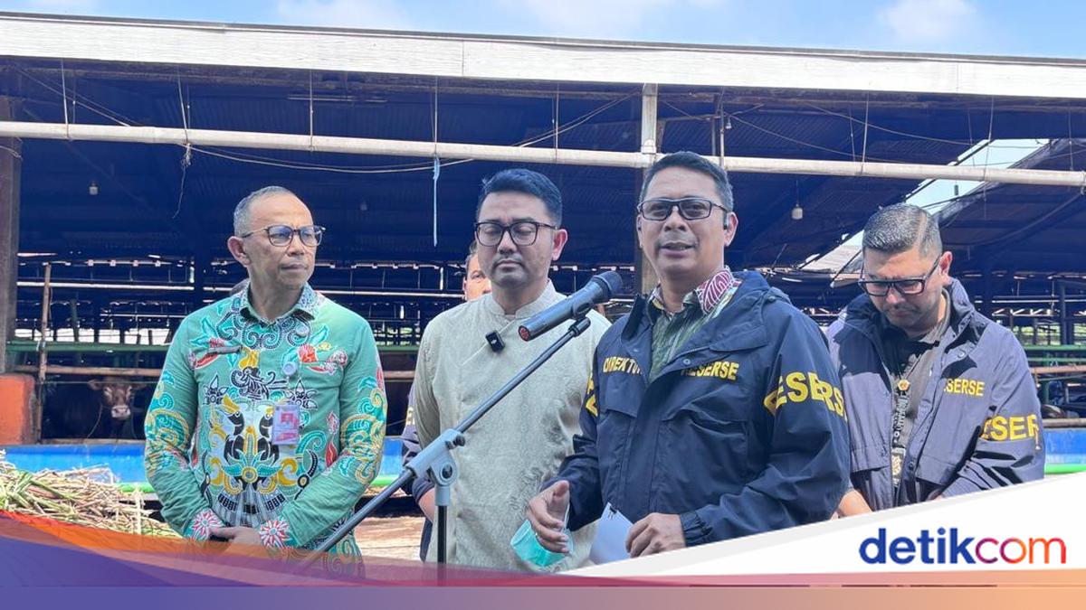 Wanti-wanti Pidana Jika Pedagang Nekat Gelonggong Sapi