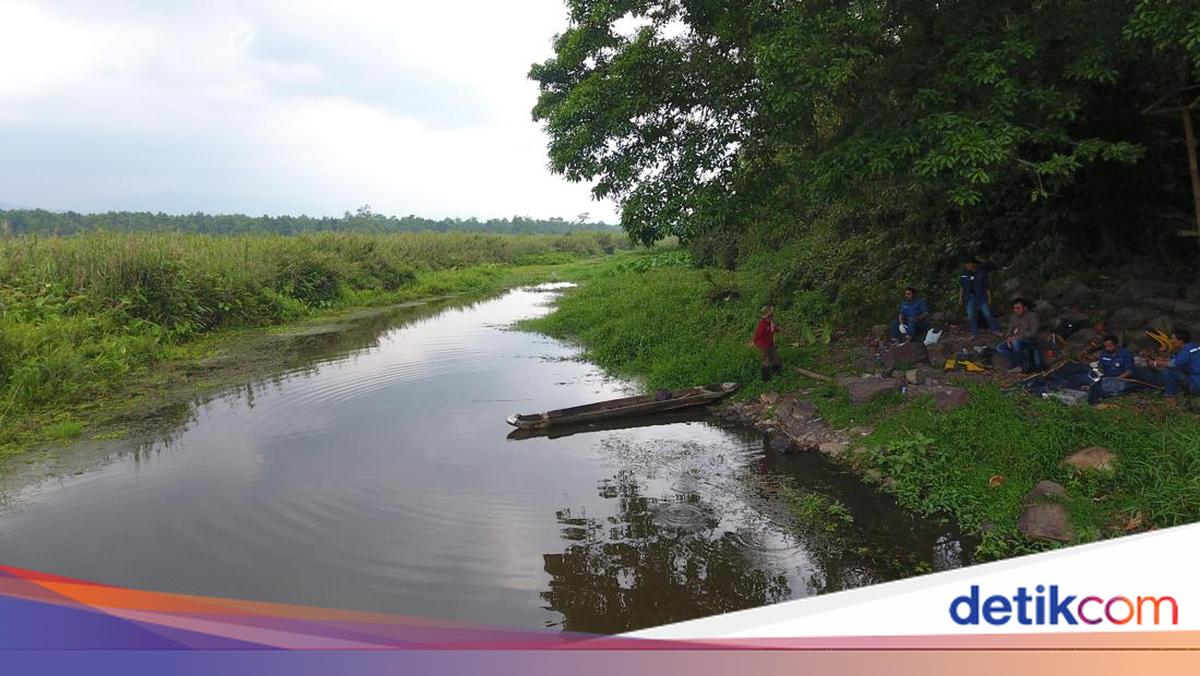 Jaga DAS Cidanau Banten, Petani Dapat Insentif hingga Rp 1,7 Juta Per Hektare