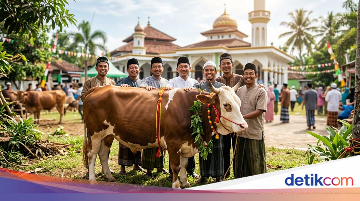 Api Sapi Kurban Sapi Dibolehkan untuk Berapa Orang?