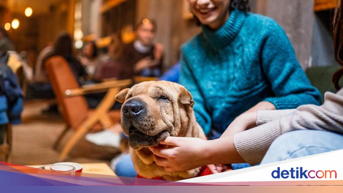 Hong Kong Punya Inisiatif Restoran Ramah Anjing, Responsnya Membludak!