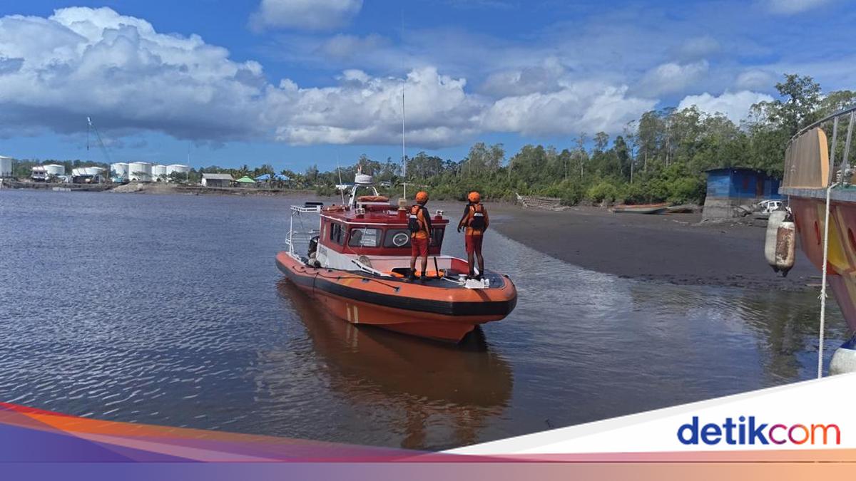 Pria di Mimika Hilang Diterkam-Diseret Buaya ke Sungai Saat Cari Kepiting