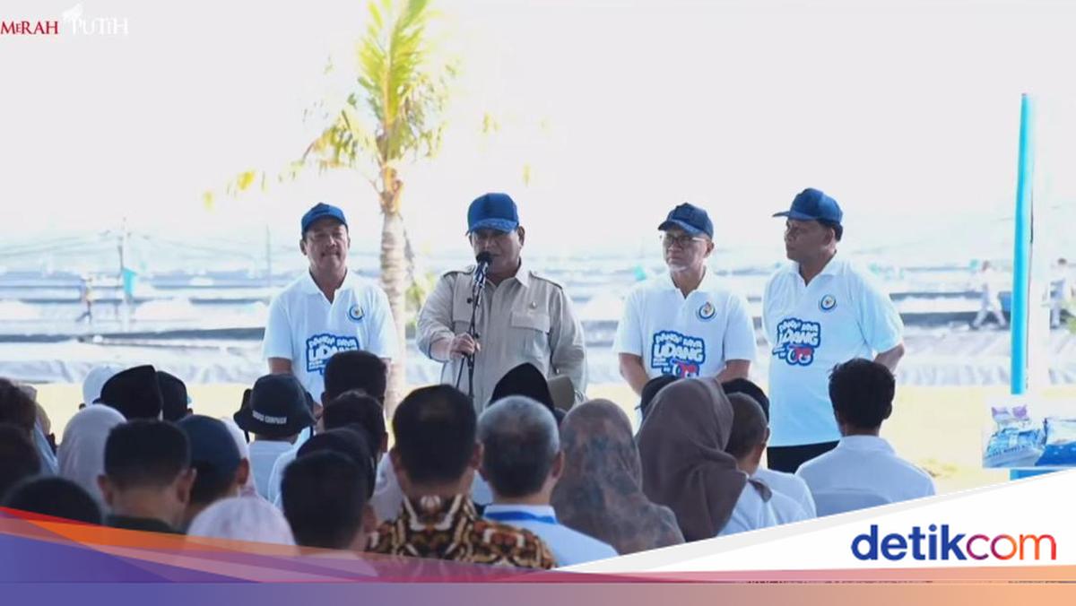 Tambak Udang Kebumen Hasilkan 40 Ton per Ha, Prabowo: Sangat Menjanjikan