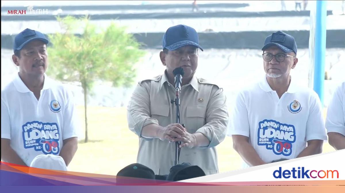 Prabowo Syukuri RI Tak Terlibat Perang, Ajak Waspada Jaga Kekayaan