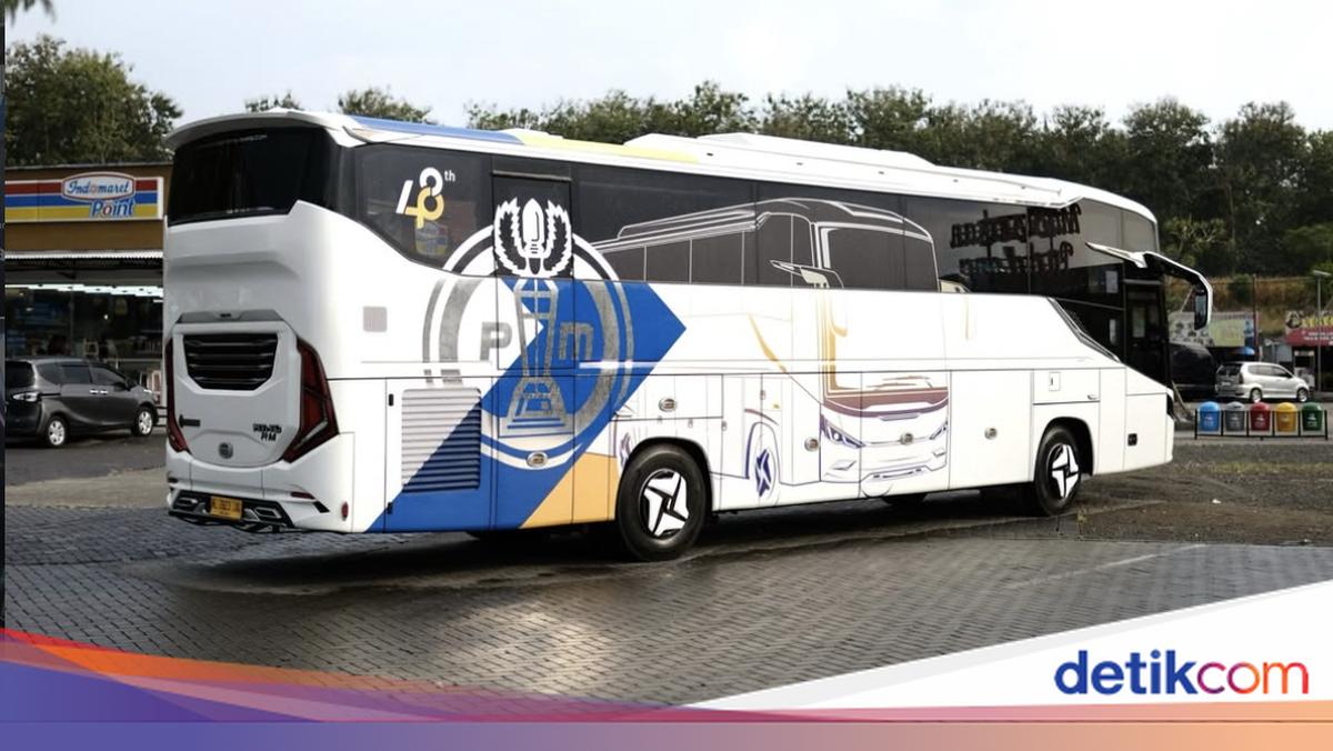 Damri Luncurkan Bus Baru Lintas 3 Negara, Pakai Sasis Hino dan Bodi Rexus