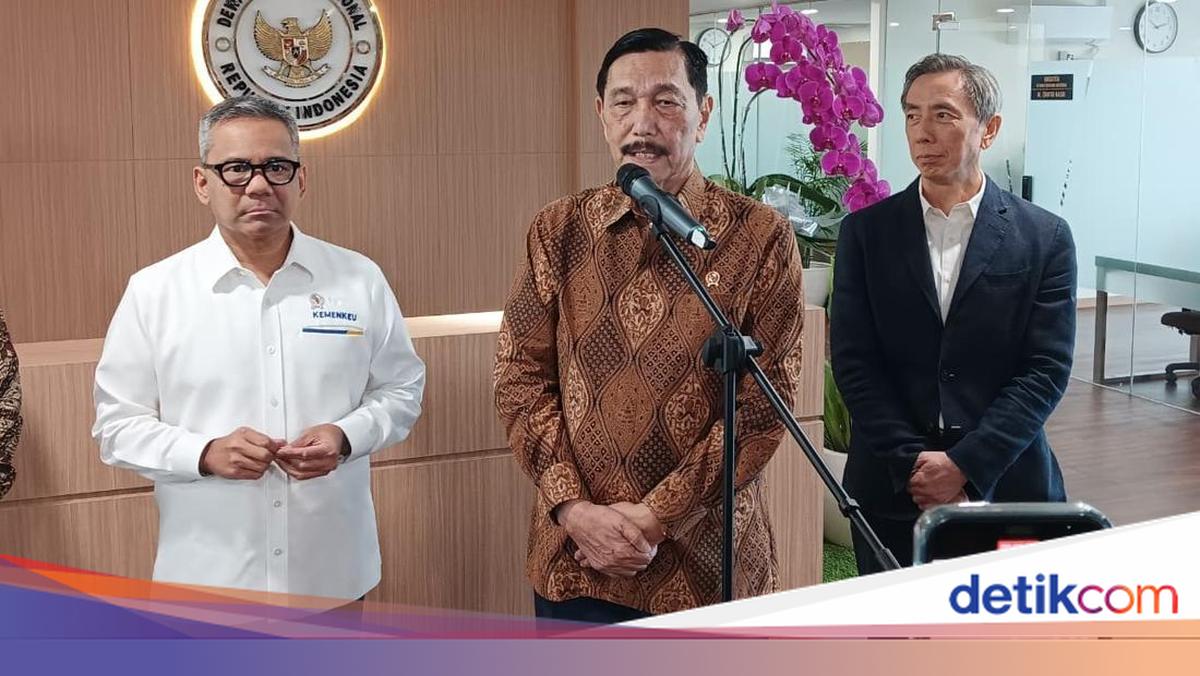 Luhut Beri Sinyal Kuat: Fungsi Bea Cukai Akan Diambil Alih DSI