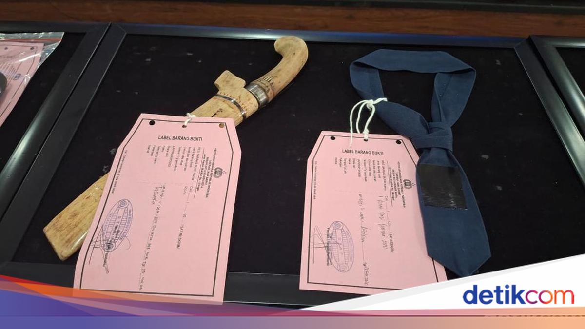 Golok hingga Mobil Saksi Bisu Wanita di Bogor Dibunuh lalu Dibuang di Tol