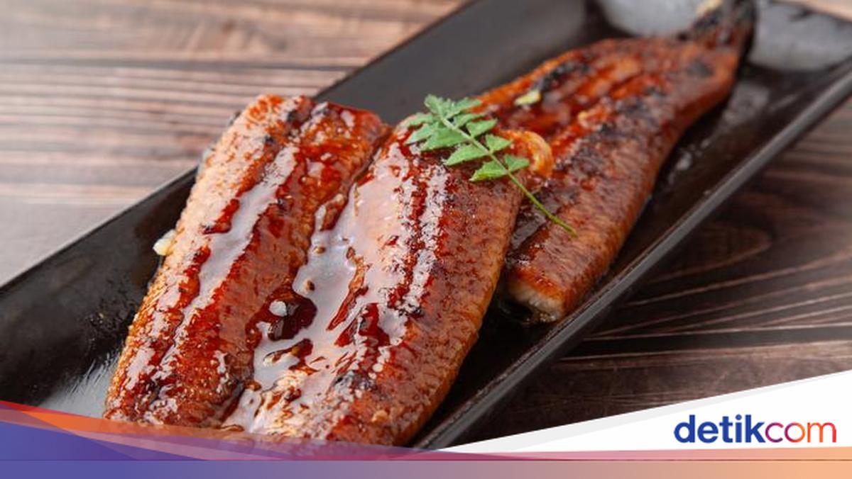 Belut Jepang Kini Langka, Harga Belut Budidaya Tembus Rp 1 Jutaan