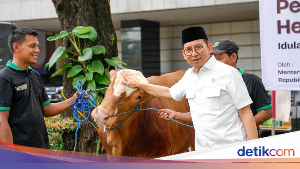 Kemenbud Kurban 23 Ekor Sapi, Menbud Bicara Nilai-nilai Pengorbanan