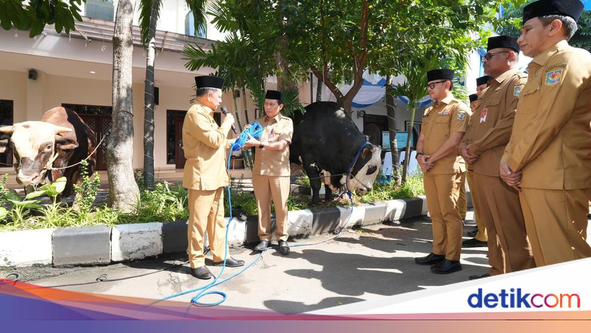 Tito Karnavian Serahkan 360 Ekor Hewan Kurban Kemendagri dan BNPP