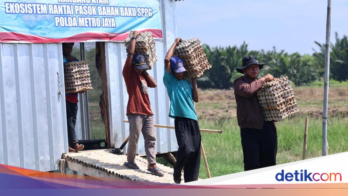 3.000 Telur Berhasil Dipanen di Bekasi, Polda Metro Jaya Salurkan ke SPPG