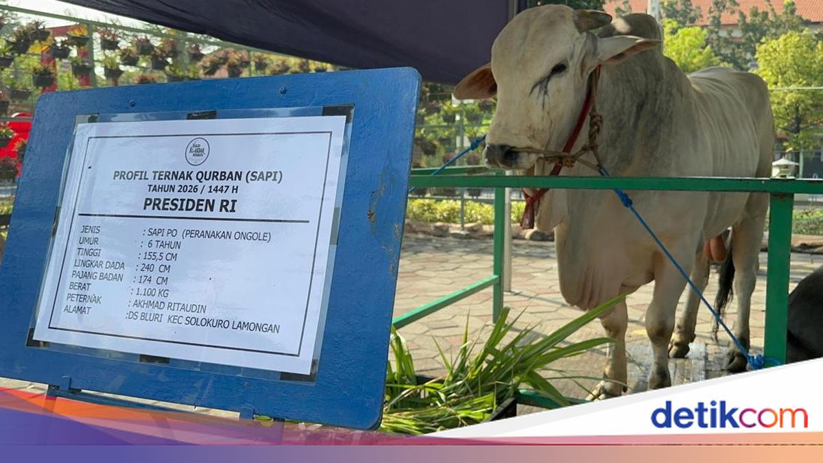 Gerindra soal 1.098 Sapi Kurban Presiden dari APBN: Tak Langgar Aturan
