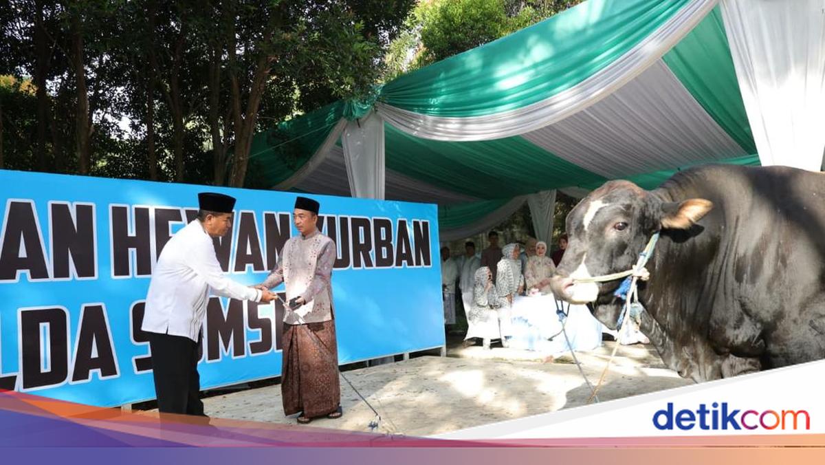 Polda Sumsel Salurkan 579 Hewan Kurban hingga ke Pelosok