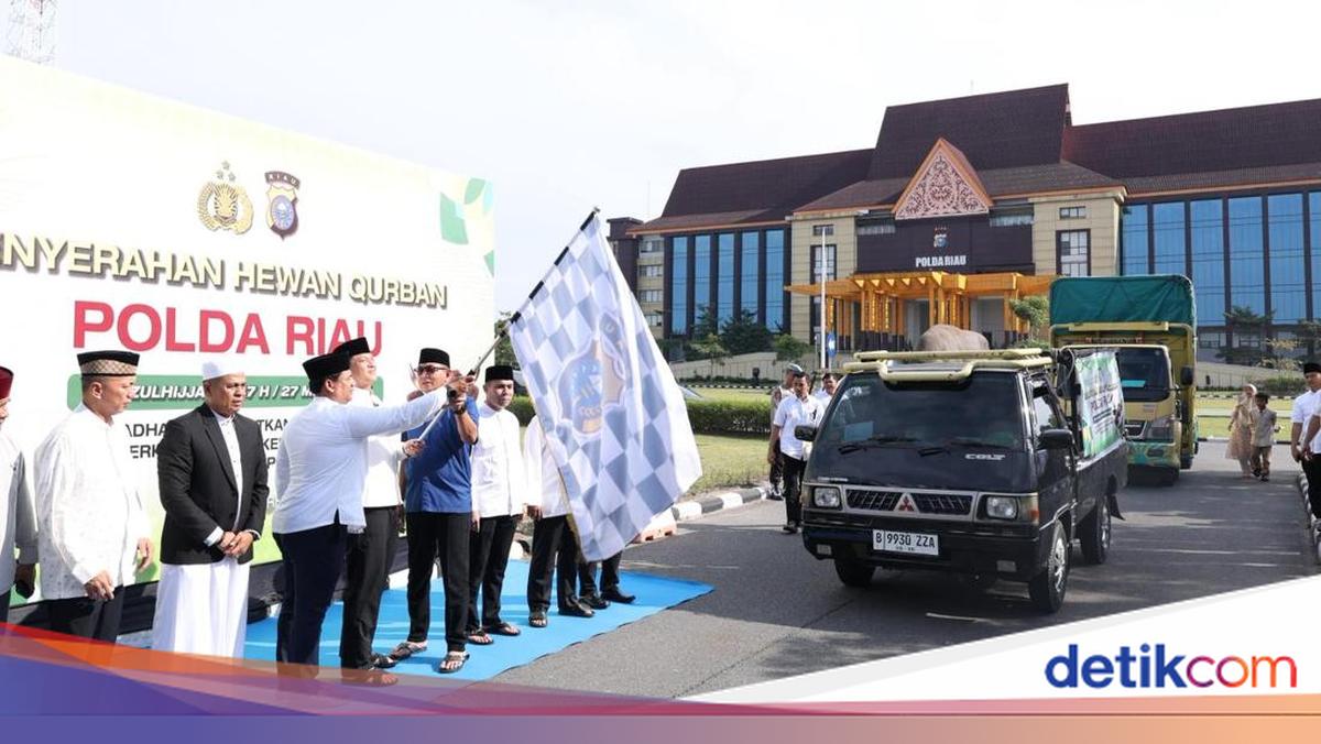 Polda Riau Potong 195 Hewan Kurban, Disalurkan hingga ke Desa Pelosok