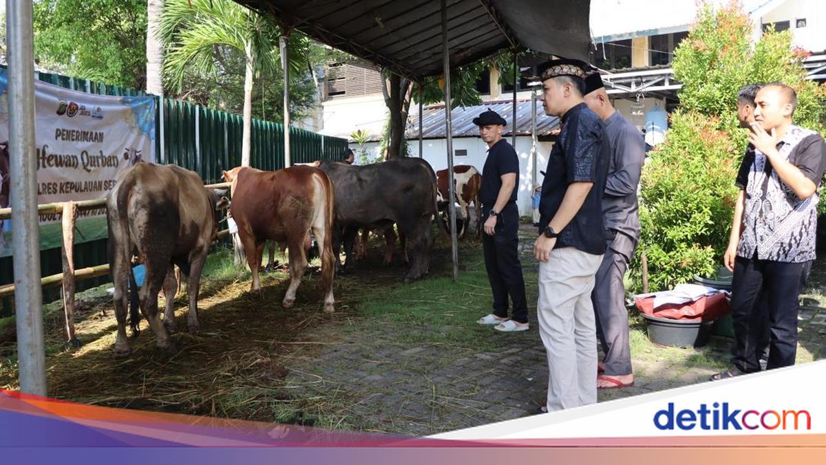 Polres Kepulauan Seribu Salurkan 58 Hewan Kurban ke Warga Pulau