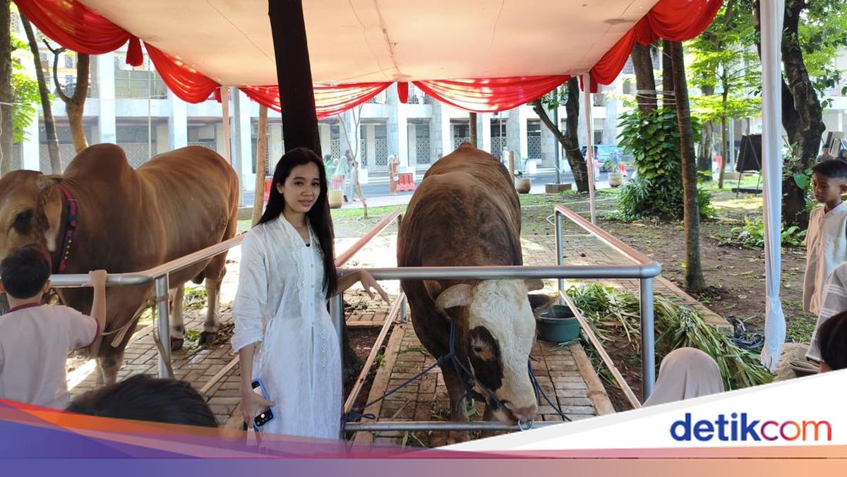 Sapi Prabowo-Gibran di Istiqlal Jadi Primadona, Diajak Foto Bareng Warga