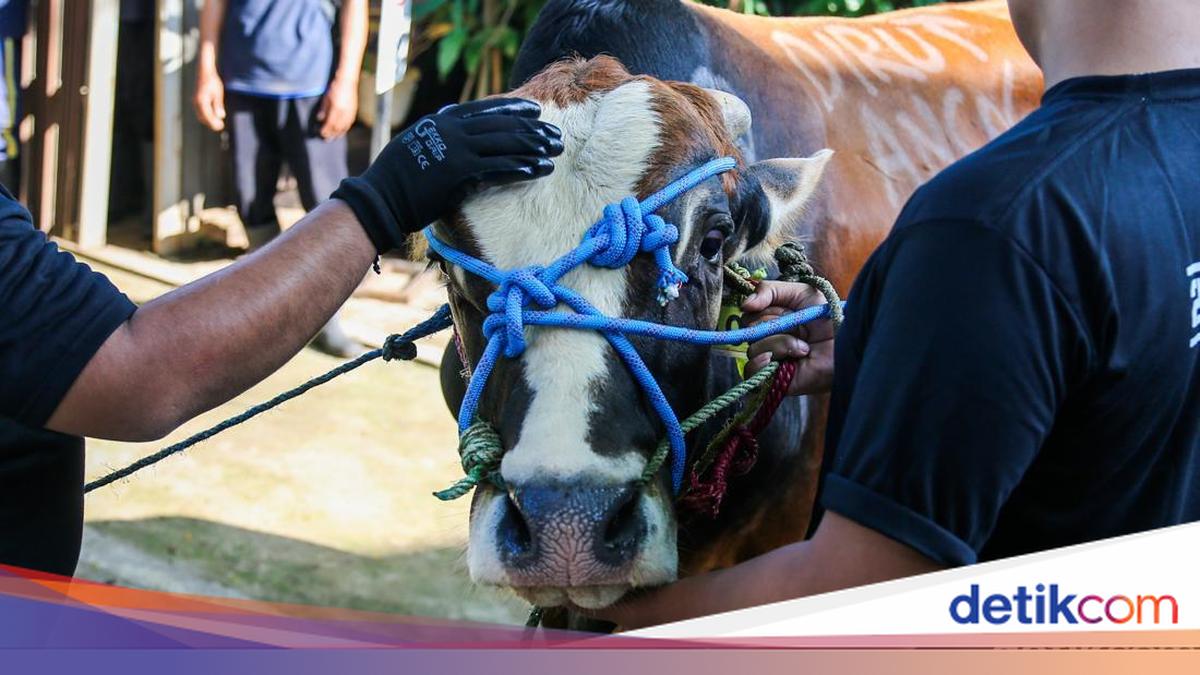 Bacaan Doa Menyembelih Hewan Kurban dan Artinya