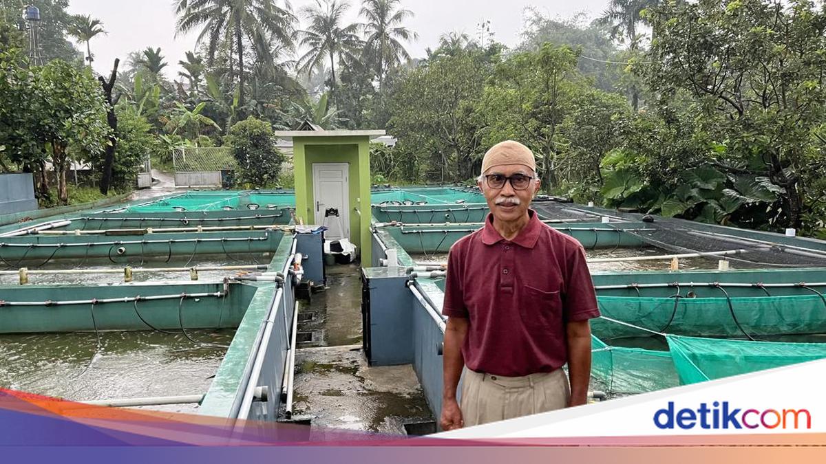 Cerita Ruskandar Dibantu BRI, Usaha Ikan Bioflok Topang Ekonomi di Masa Pensiun