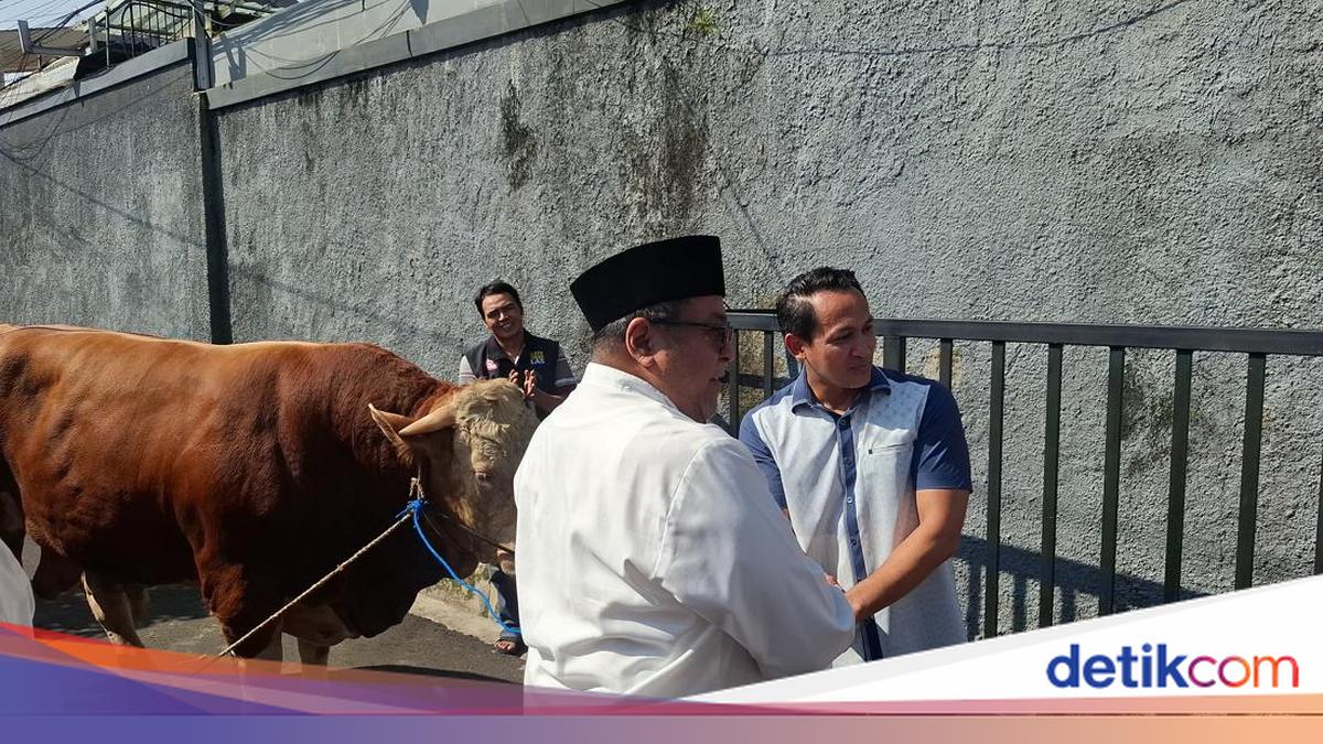 Ketua RT Ungkap Antusiasme Warga Gandaria Dapat Sapi 1 Ton dari Rano Karno