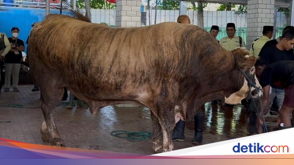 Istiqlal Potong 78 Hewan Kurban Hari Ini, Termasuk Sapi Prabowo dan Gibran