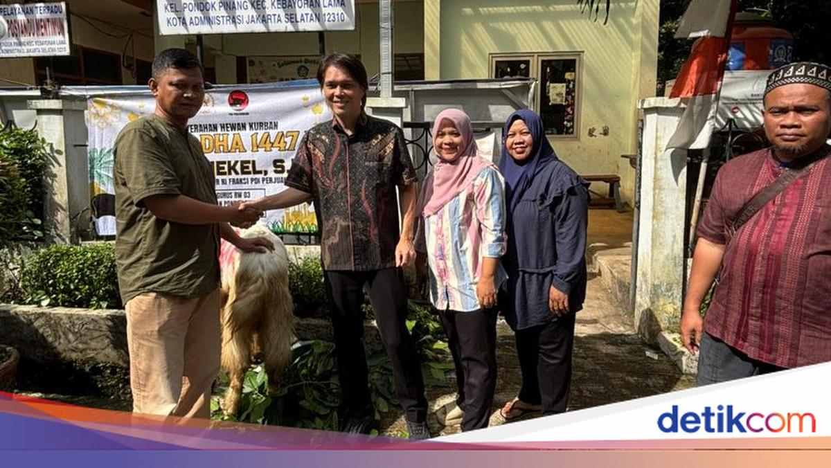 Once Mekel Salurkan Hewan Kurban dan Berbagi Kebaikan di Idul Adha