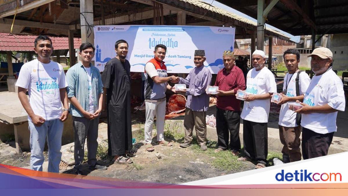 Pertamina Salurkan 4.400 Hewan Kurban di Momen Idul Adha 2026