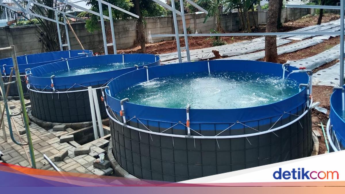 Teknologi Pompa Udara Yasunaga Bantu Tingkatkan Produktivitas Tambak