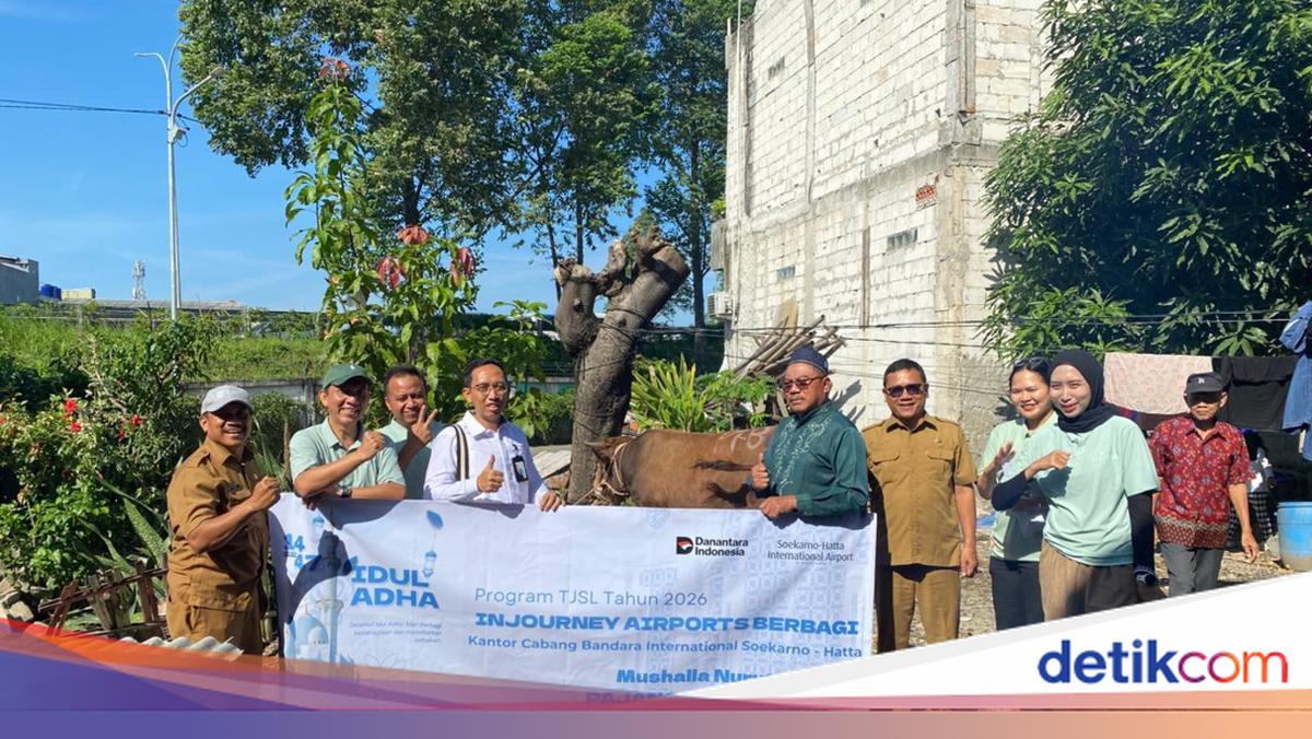 InJourney Airports Berbagi 79 Sapi &amp; 10 Kambing di Momen Idul Adha 2026