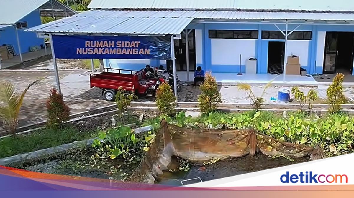 Intip Dampak Geliat Budidaya Sidat di Nusakambangan bagi Ekonomi Warga Cilacap