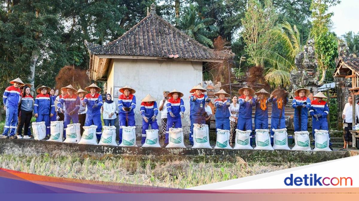 Desa Energi Berdikari Keliki Sulap Sampah Jadi Kompos-Eco Enzyme