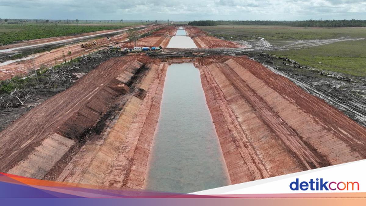 Brantas Abipraya Optimistis Tuntaskan Proyek Irigasi Rawa Merauke Paket 2